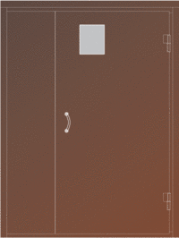 VIZIT-ДСН-15-Пр(Лв)-C1